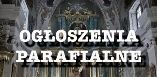 Ogłoszenia Parafialne – 31 Niedziela zwykła – 2.11.2025r.