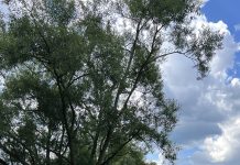 Parafialna pielgrzymka do Kalwarii Pacławskiej 2023